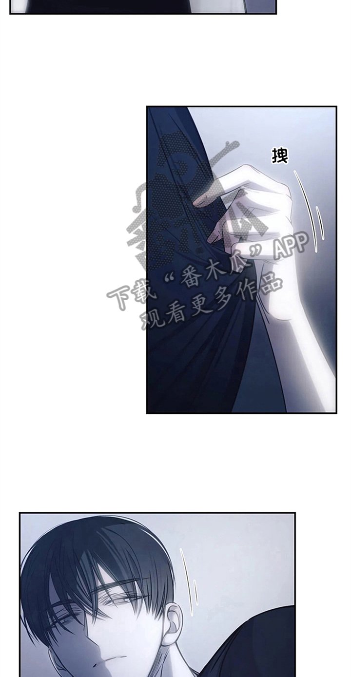 第15章：送回家