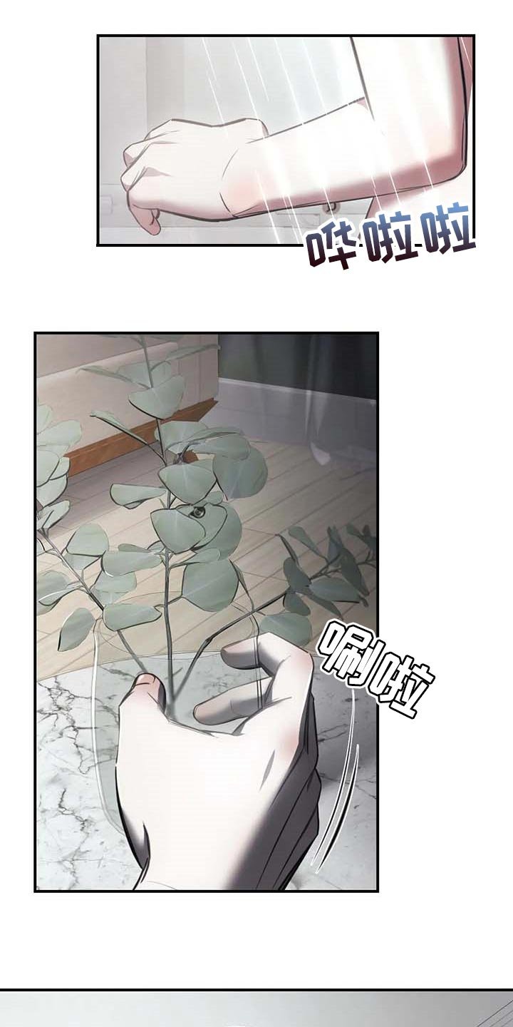 第26章：摄像头