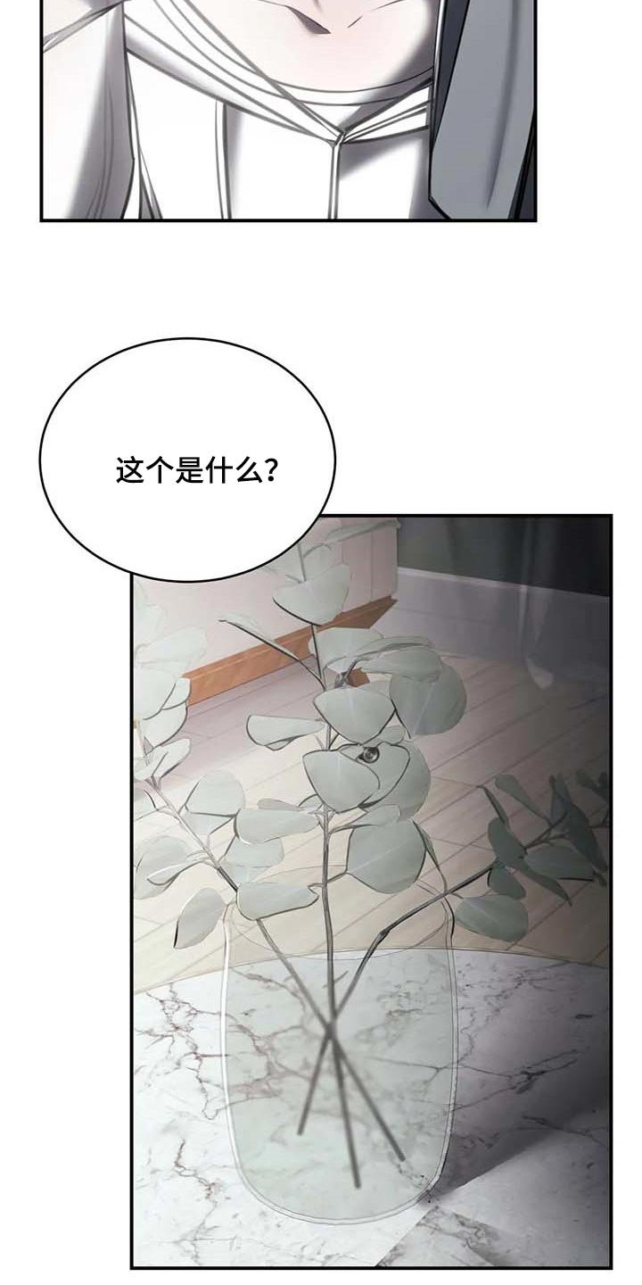 第26章：摄像头