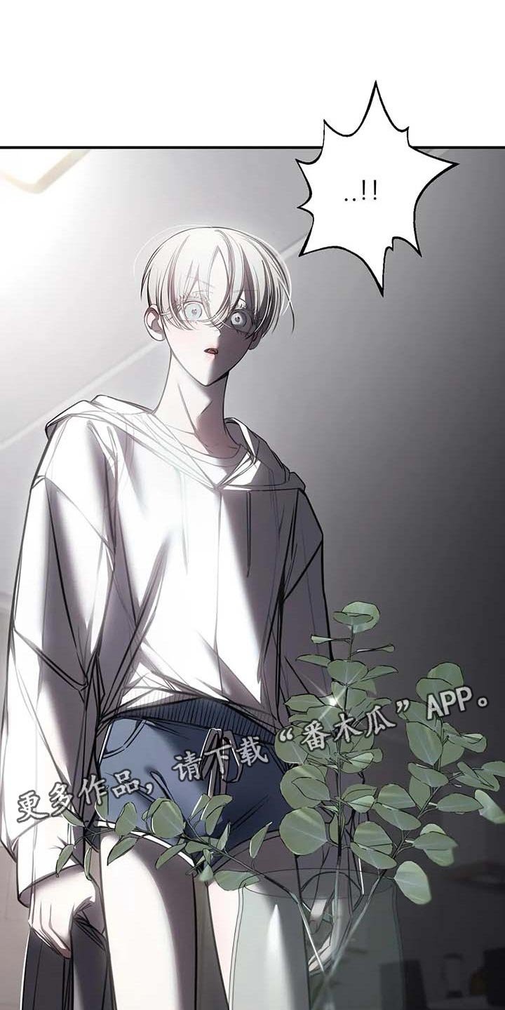 第26章：摄像头