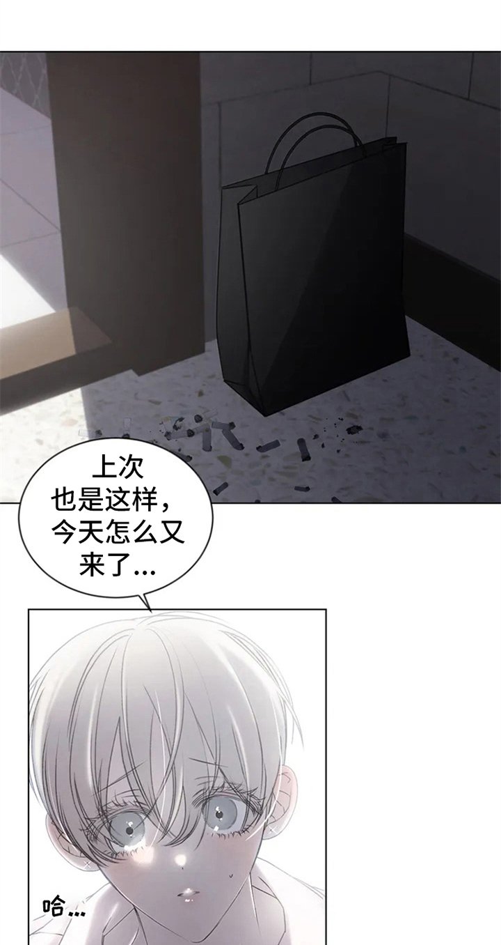 第3章：提议