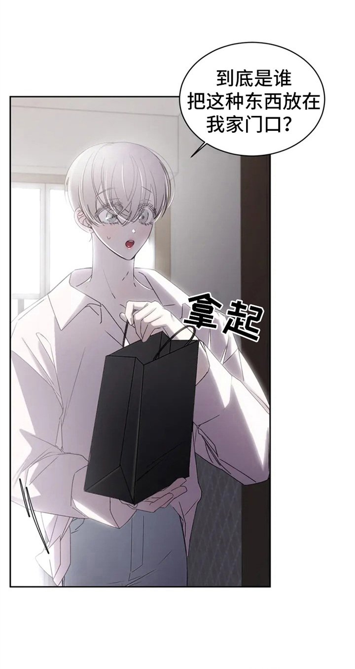 第3章：提议