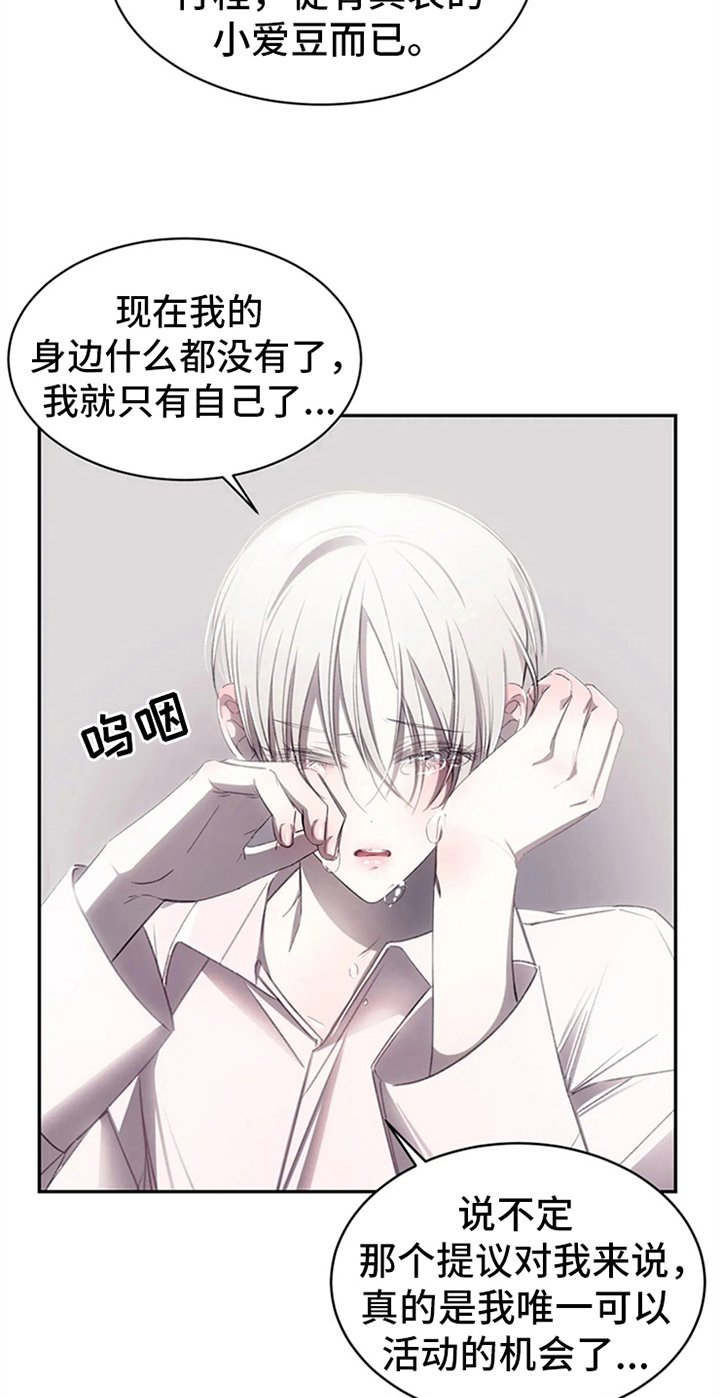 第5章：拍广告