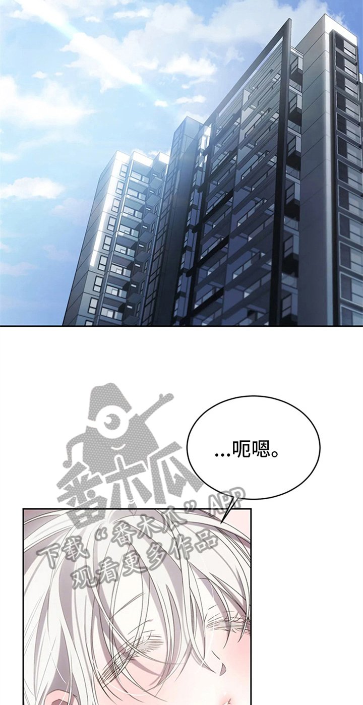 第5章：拍广告