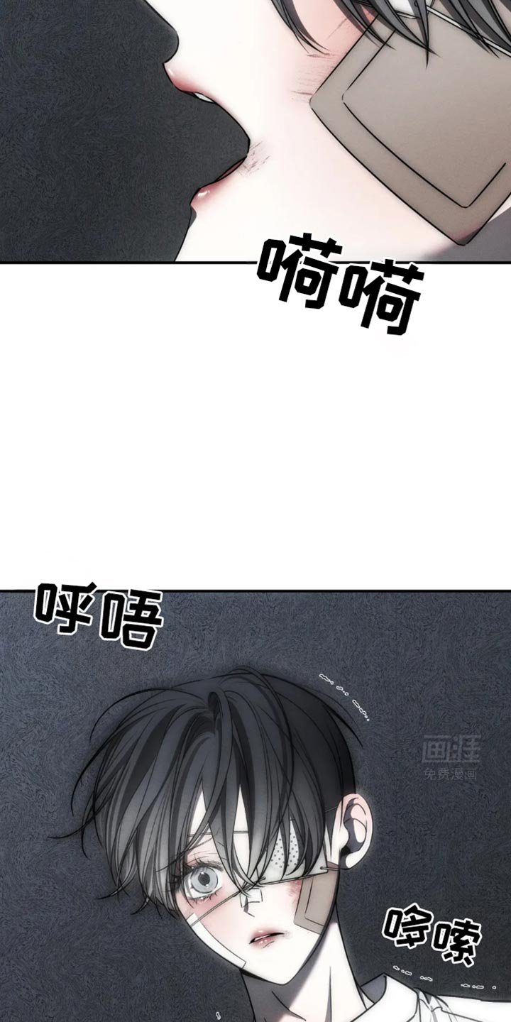 第61章：【第二季】你根本区分不了