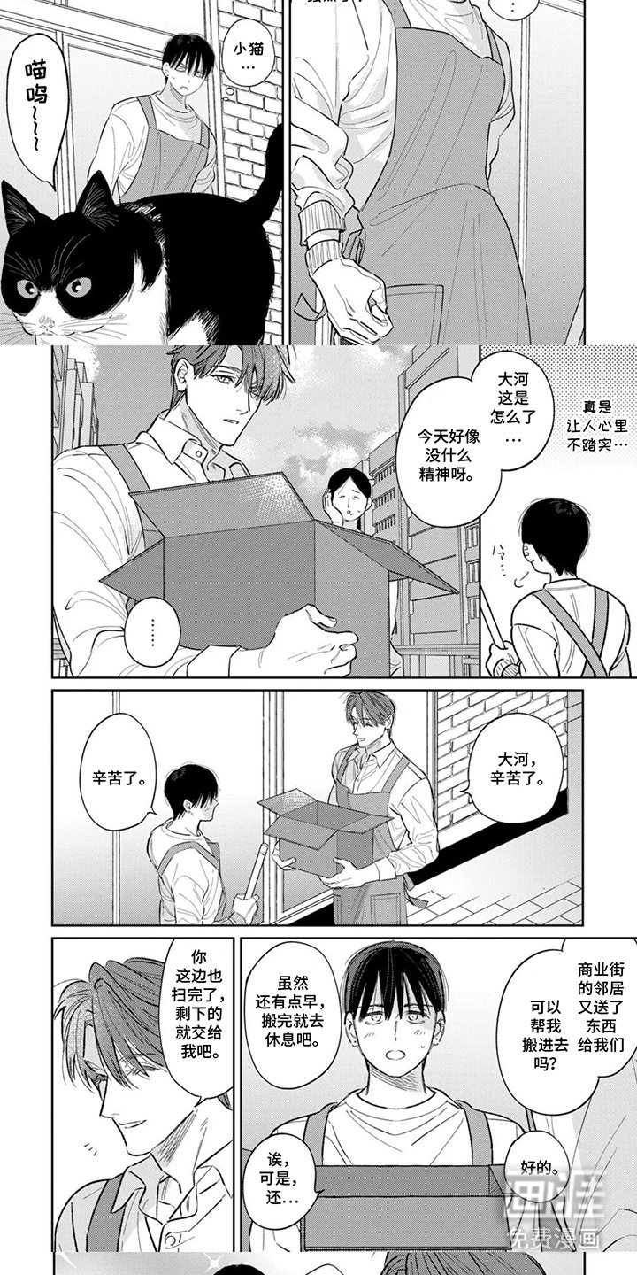 第13章：今晚行动