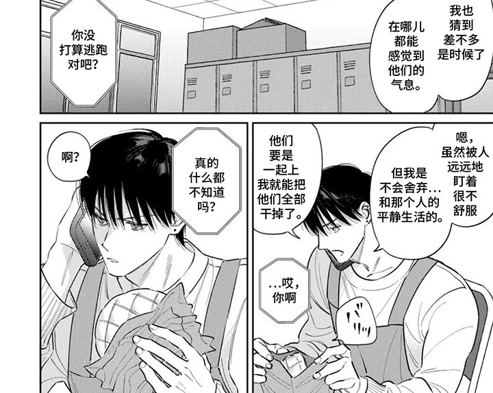 第13章：今晚行动