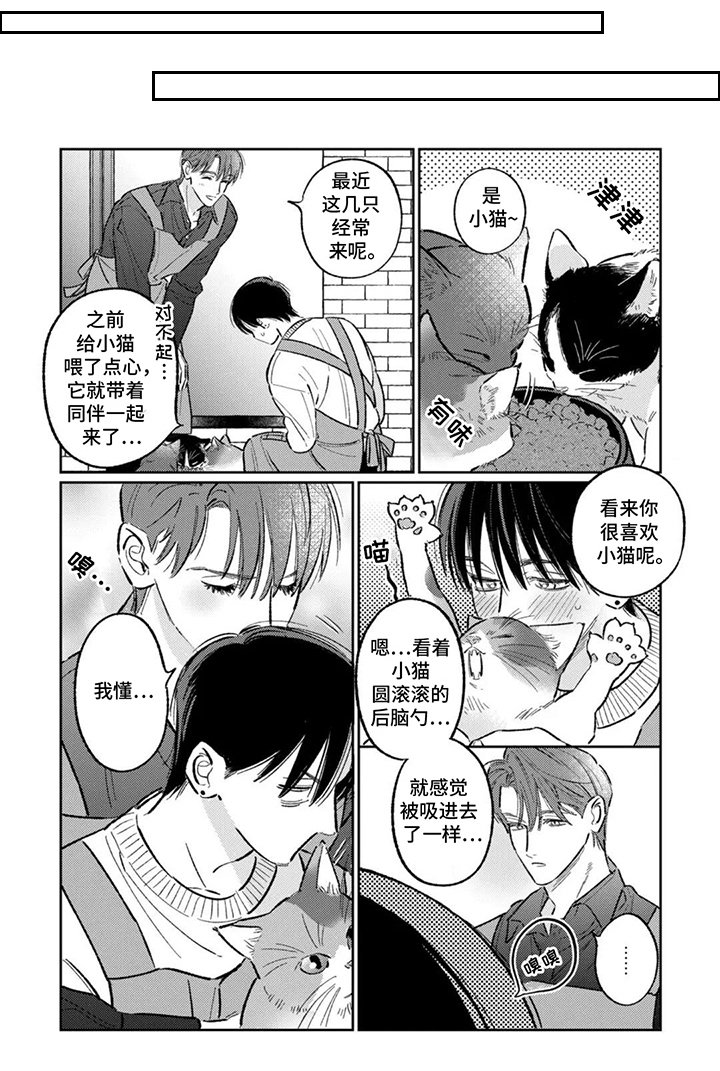 第17章：我懂
