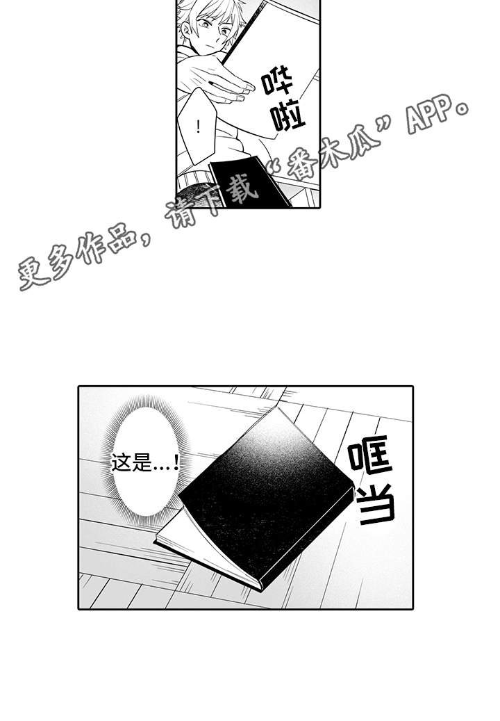 第16章：确认了
