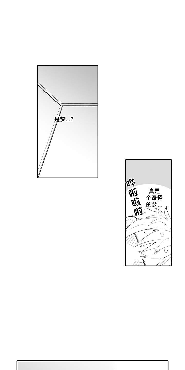 第3章：做梦