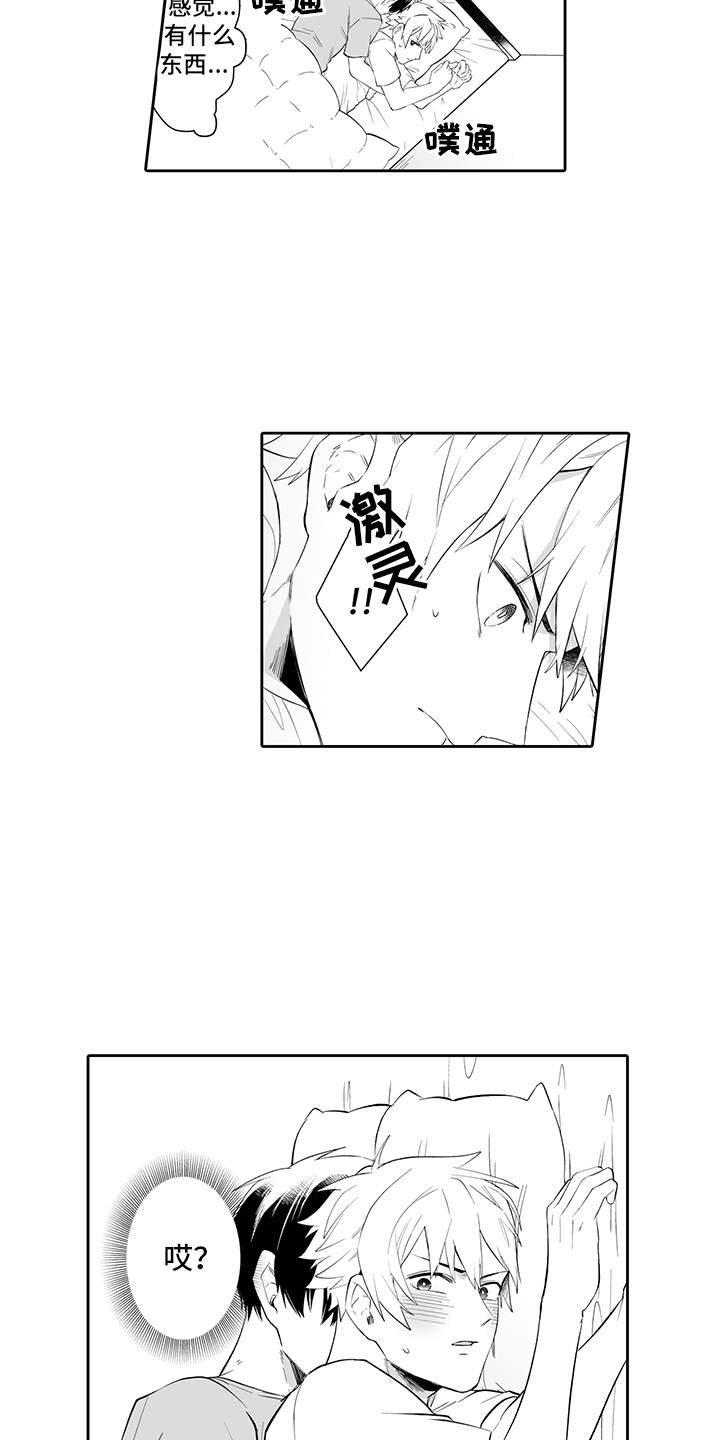 第3章：做梦