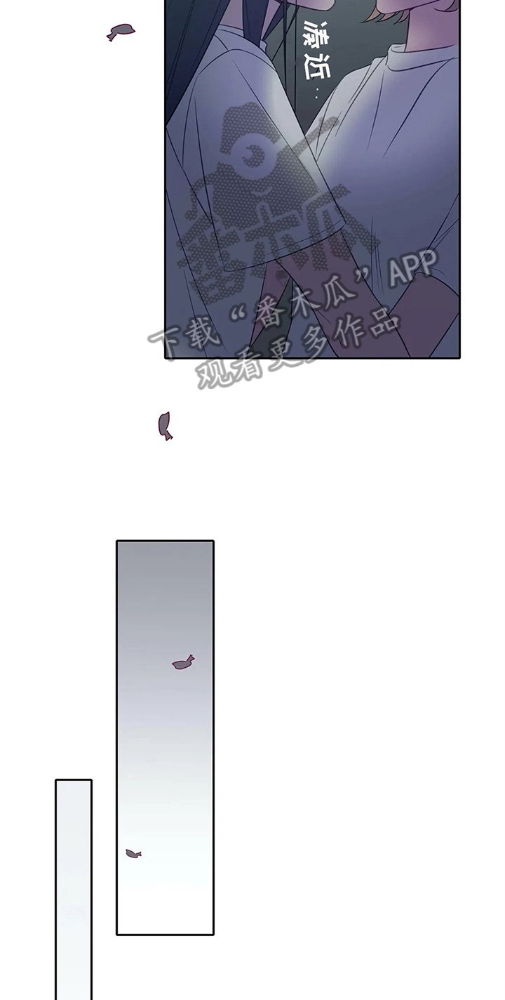 第27章：表白