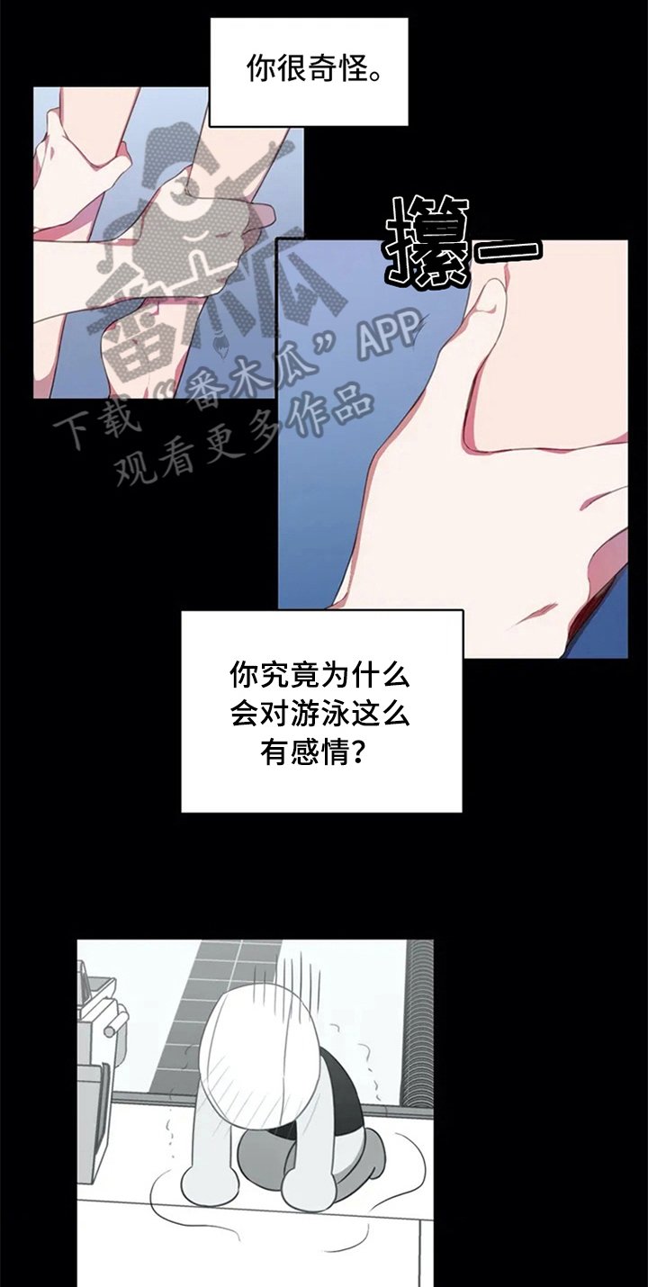 第6章：动静