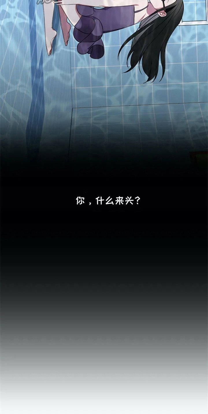 第6章：动静