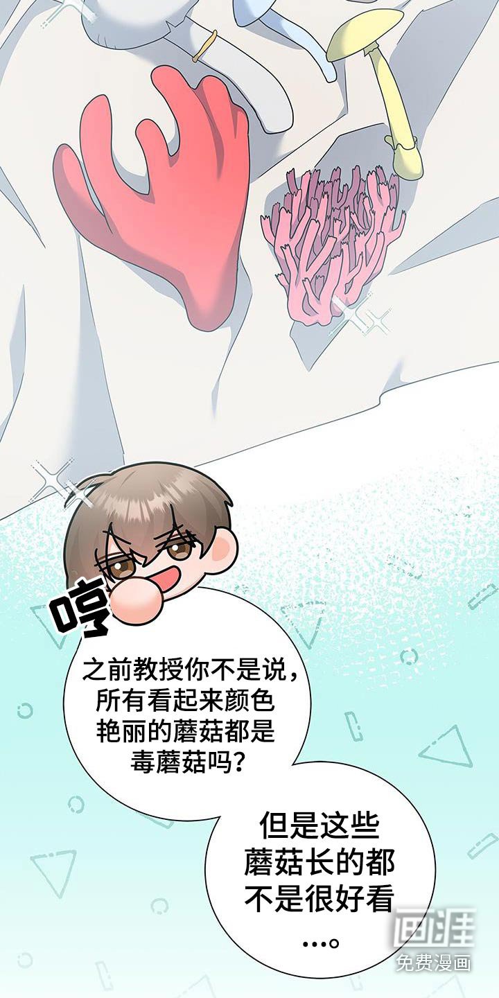 第138章：【第二季】蘑菇