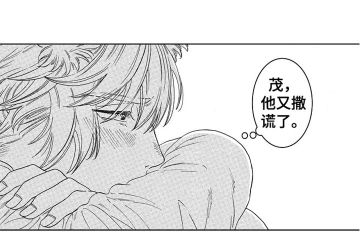 第10章：撒谎