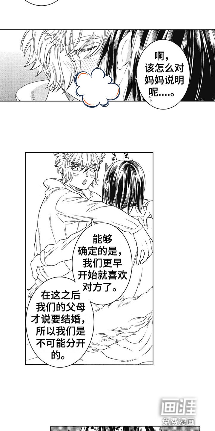 第13章：表白