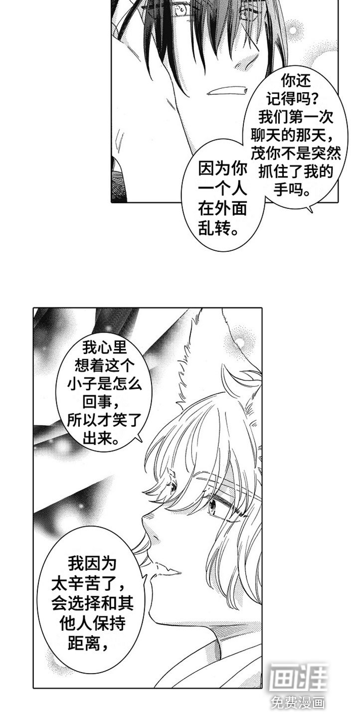 第13章：表白