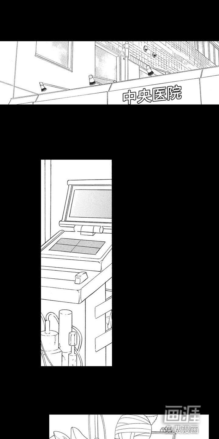 第16章：痛苦