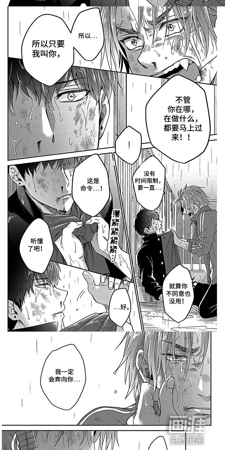 第29章：还清了