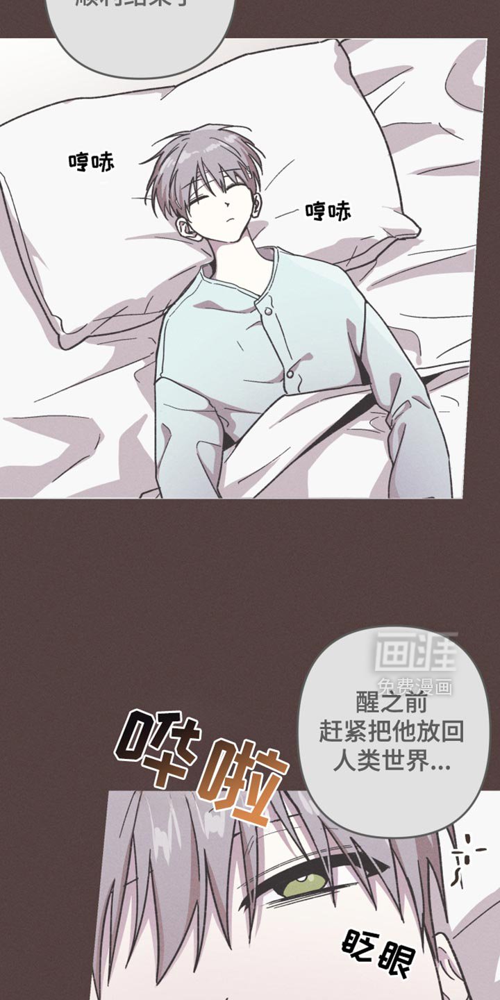 第119章：【第二季】养父母一样的存在