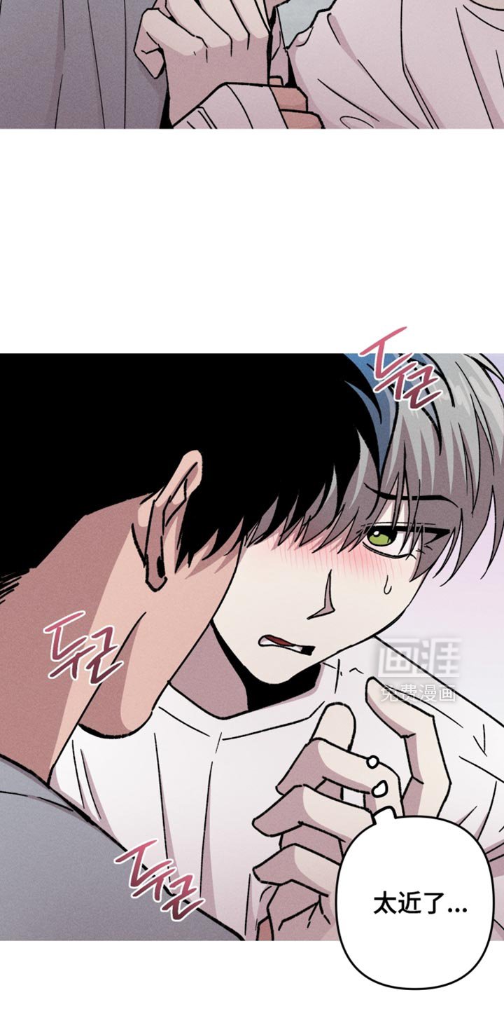 第146章：【第三季】因为你是委托人