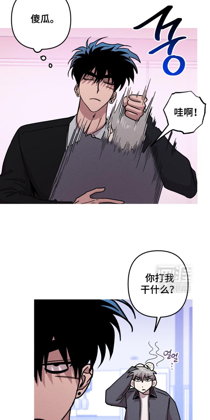 第181章：【第三季】最开心的一天