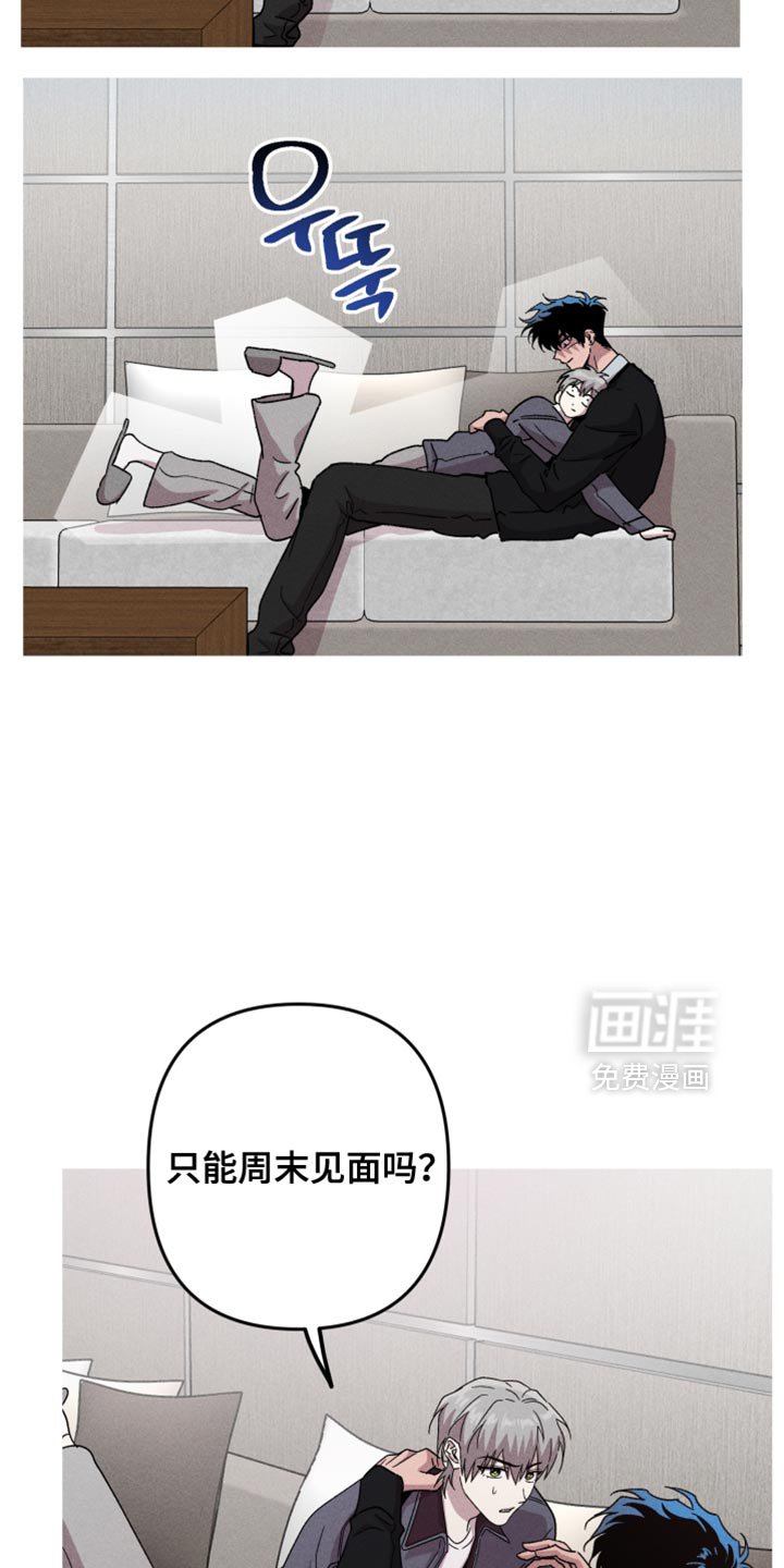 第181章：【第三季】最开心的一天