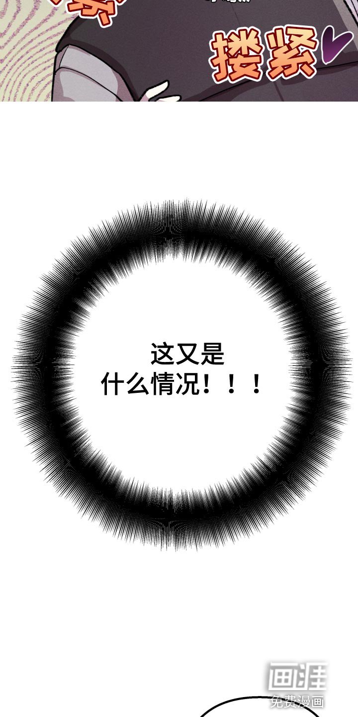 第23章：合约