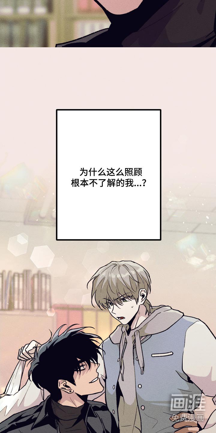 第51章：对不起你