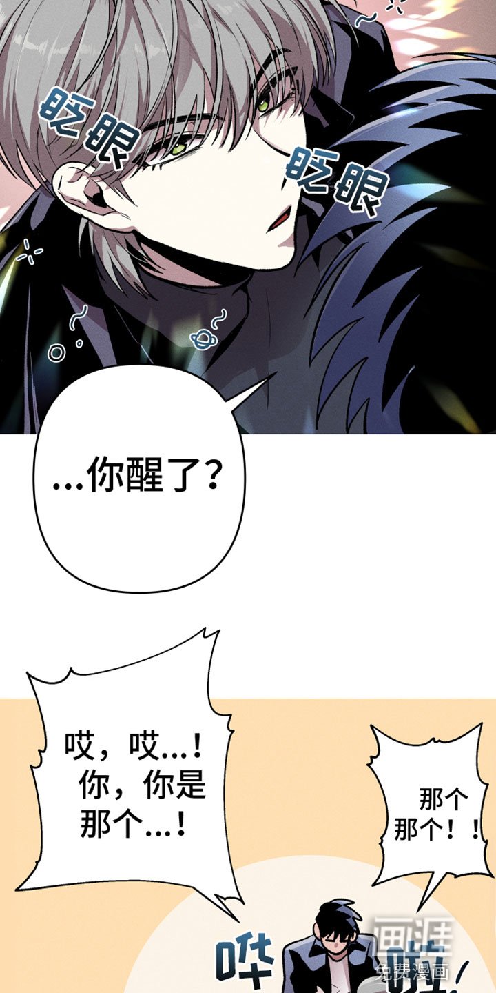 第6章：真好看