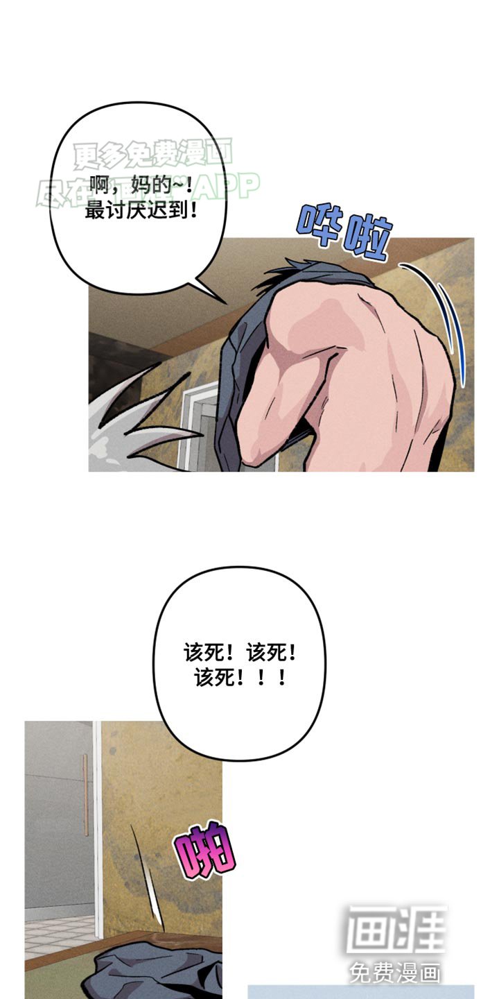 第74章：好消息