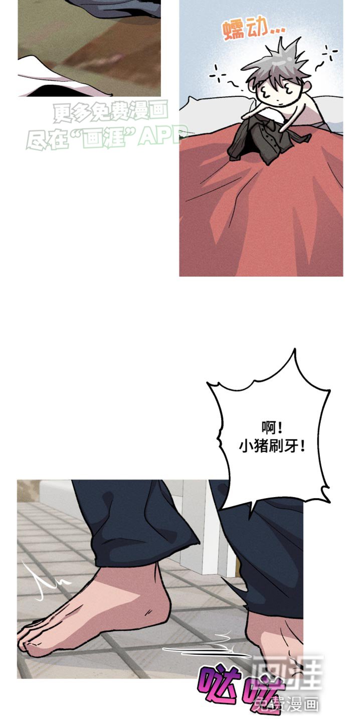第74章：好消息