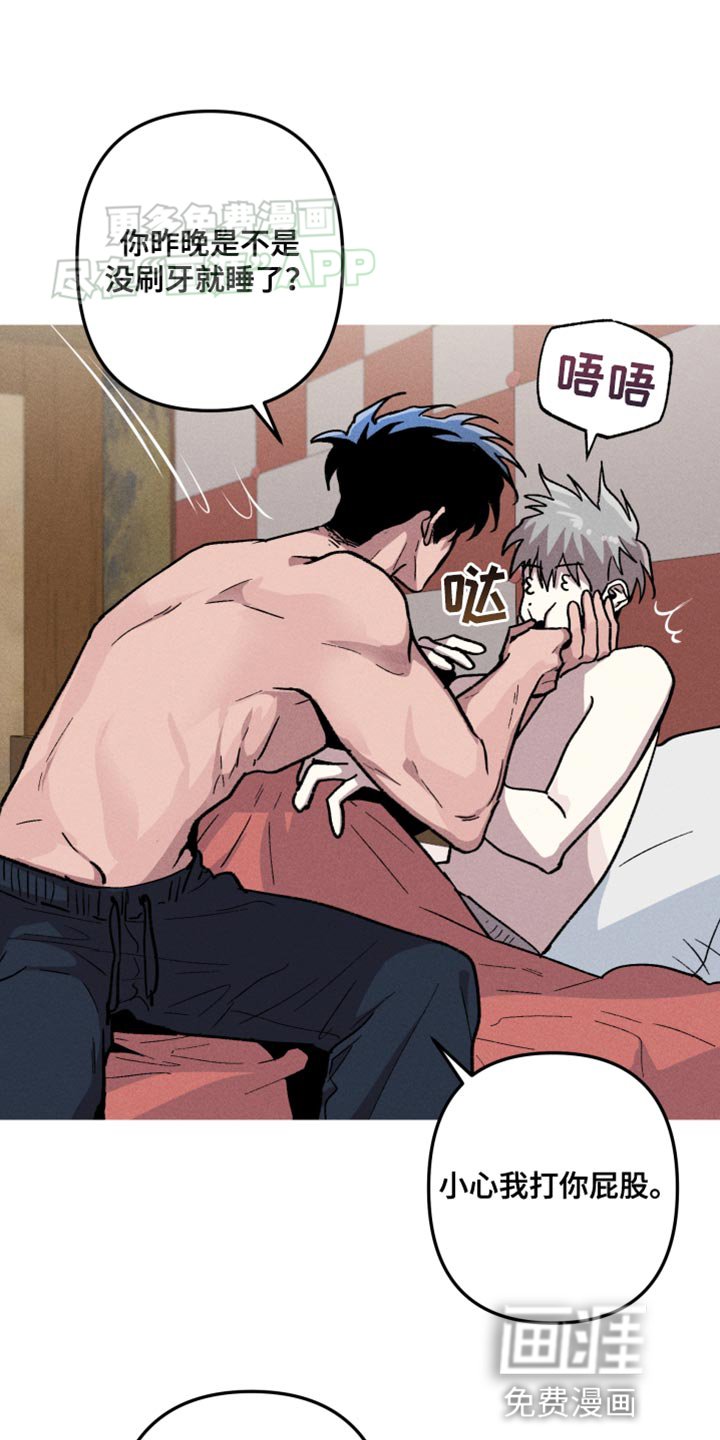 第74章：好消息