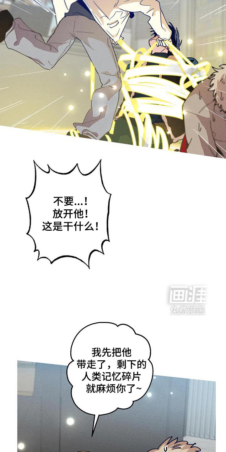 第95章：别删掉我的记忆