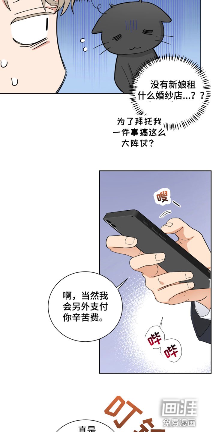 第9章：试穿