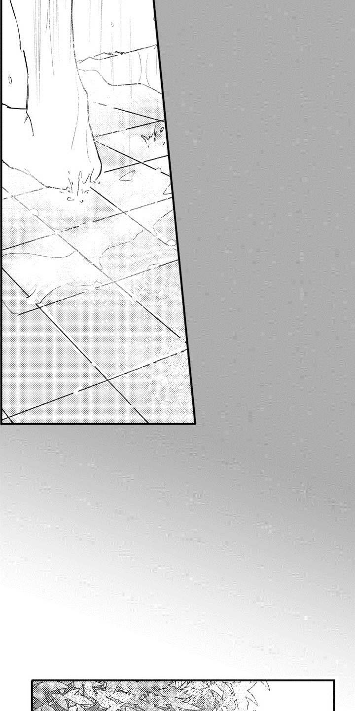 第14章：不见了