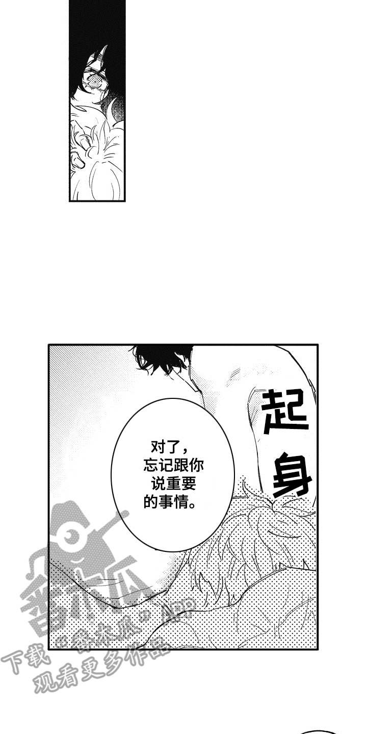 第19章：理由