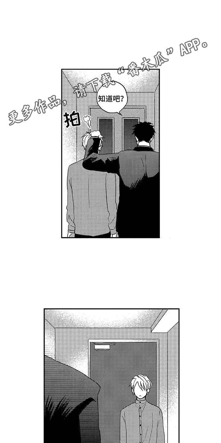 第11章：追加选项