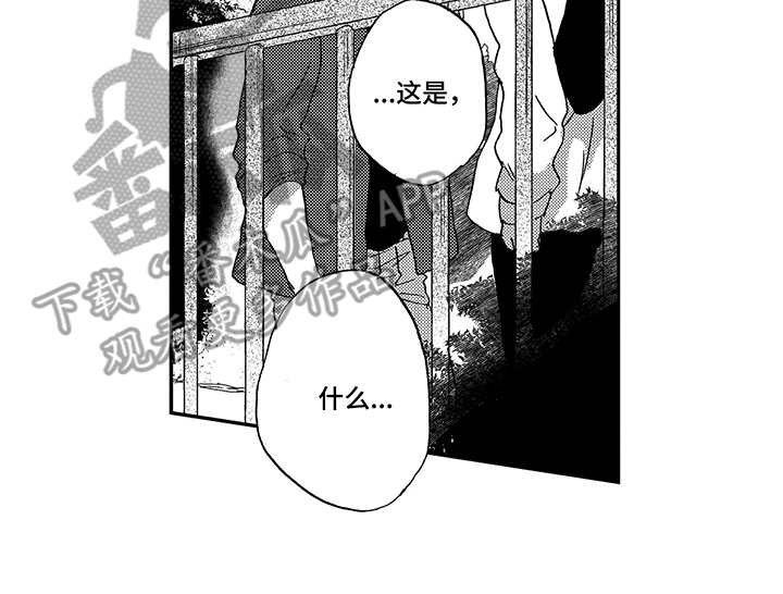 第16章：想要了解