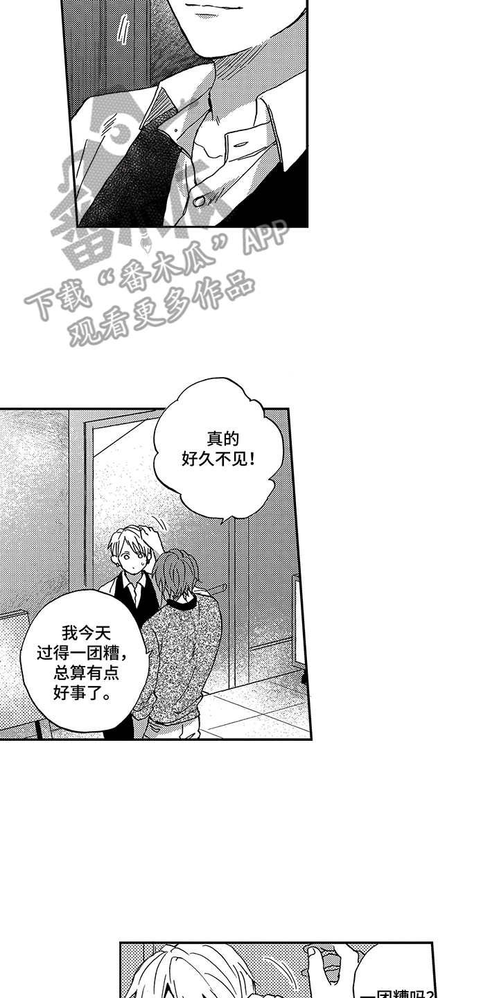 第19章：整理思绪