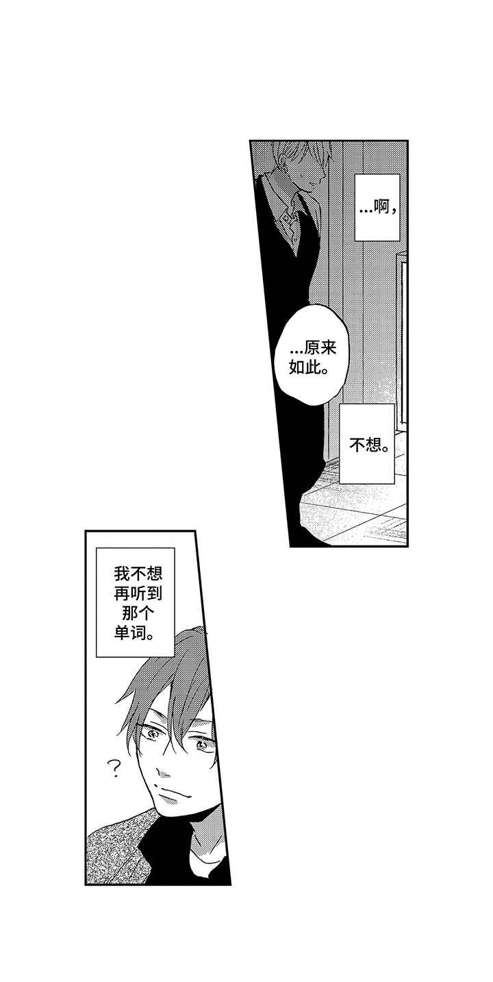 第19章：整理思绪