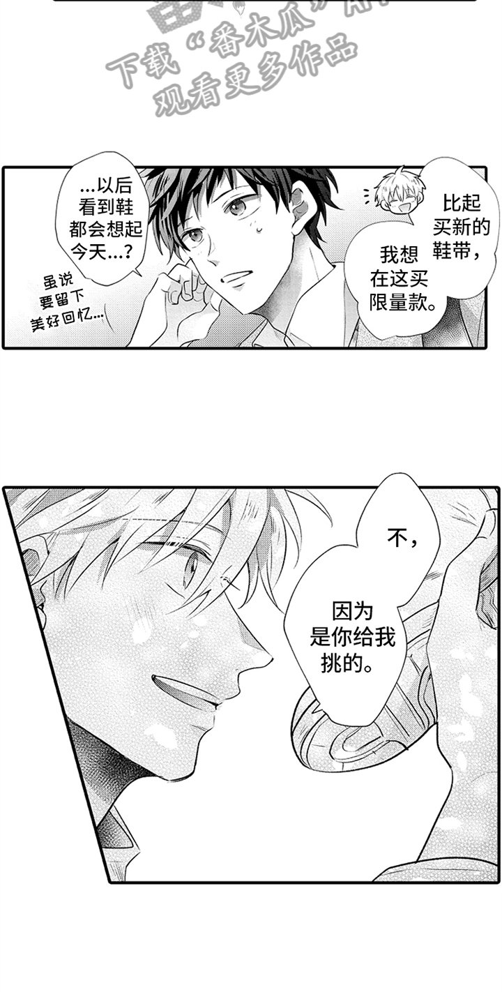 第17章：挑鞋子