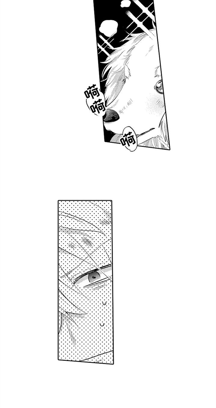 第2章：相遇