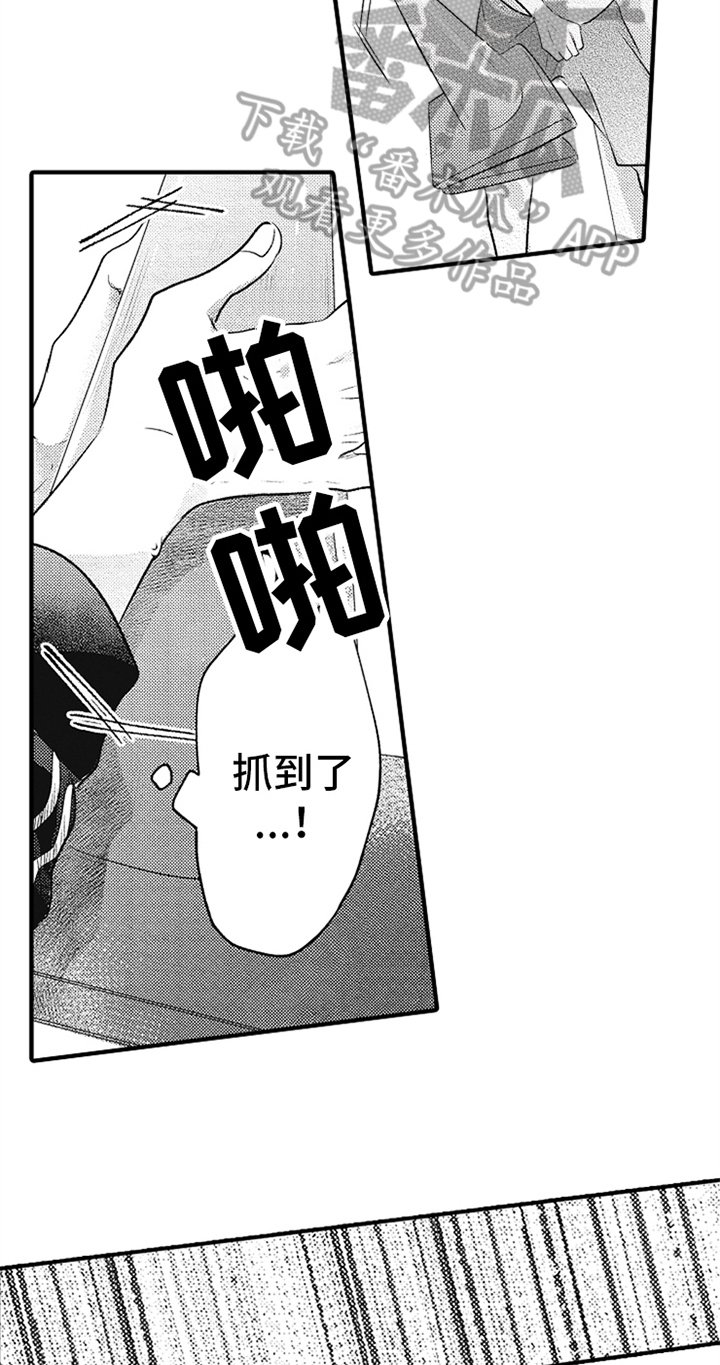 第21章：表情