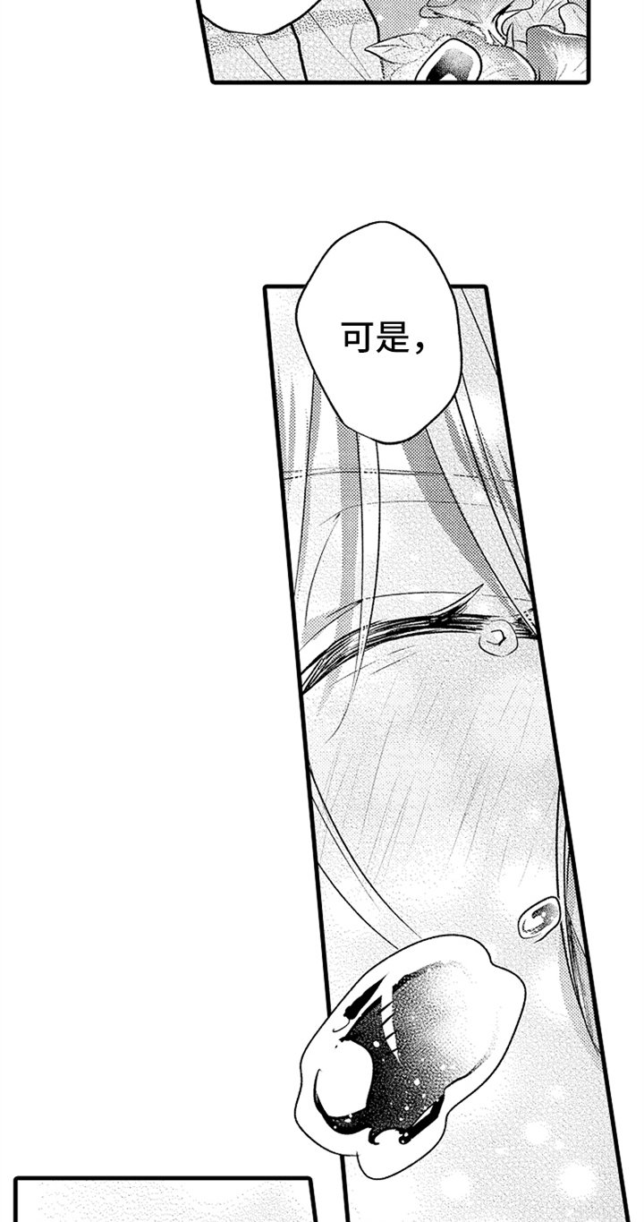 第21章：表情