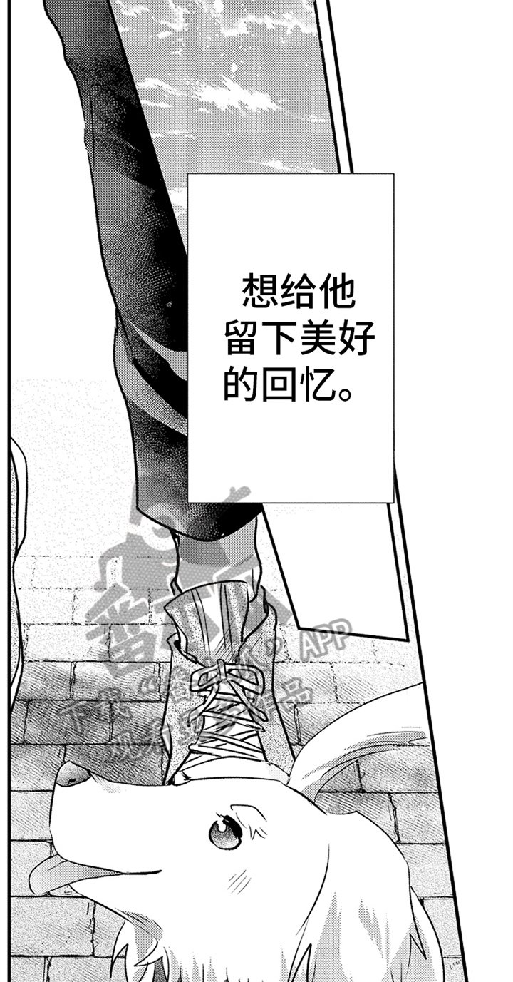 第26章：明白了