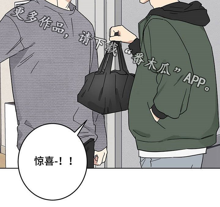 第17章：惊喜