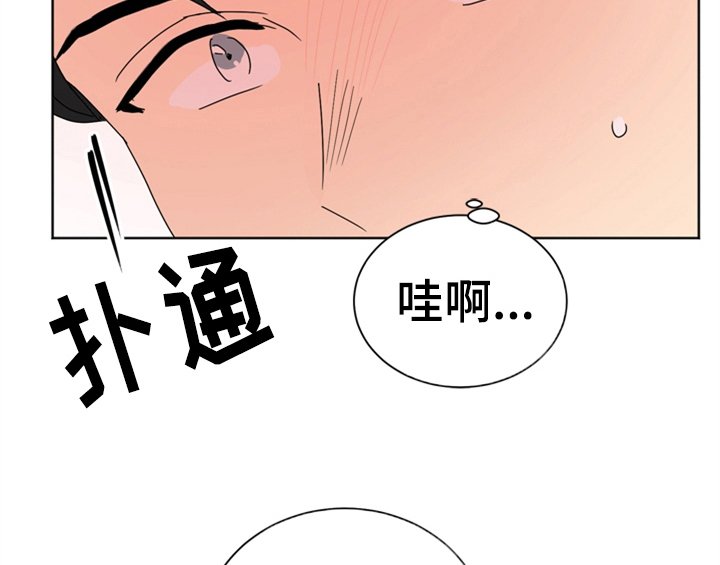 第2章：命运安排