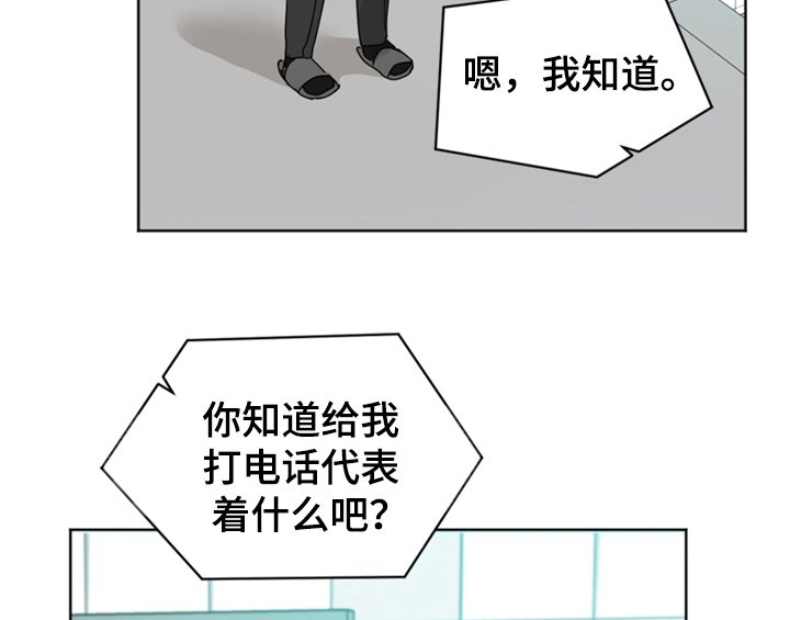 第4章：电话